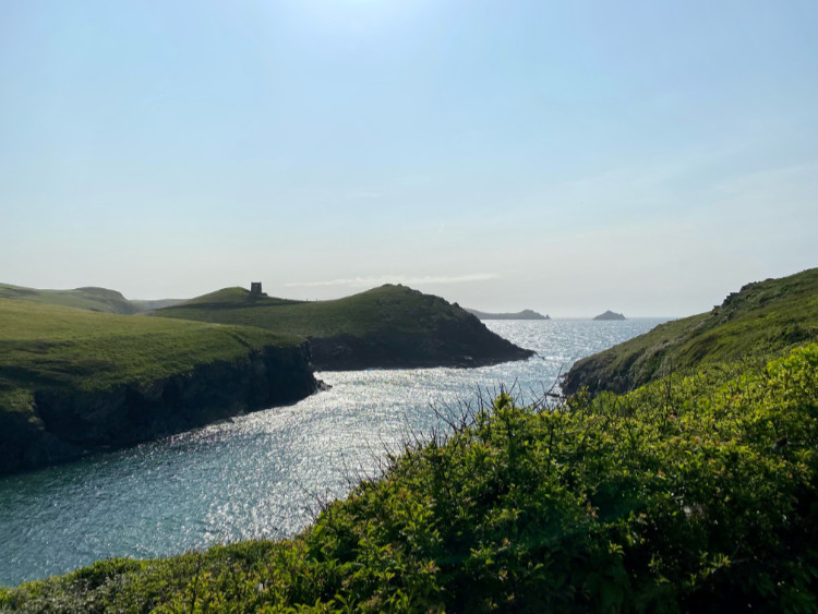 Saltwarer Safari Coasteering Tintagel